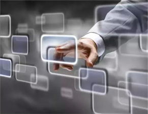 泰安廣寶寶馬信息咨詢服務 專業(yè)購車顧問，駕馭精彩未來